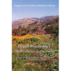 Depth Psychology - Meditations in the Field