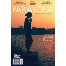 Parabola 39:3 - Spiritual Practice
