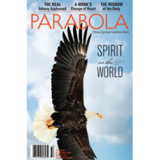 Parabola 38:1 - Spirit in the World